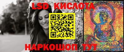 прущие грибы Ставрополь