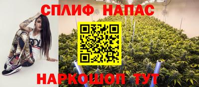 прущие грибы Ставрополь