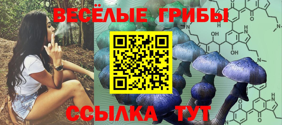 Галлюциногенные грибы Magic Shrooms  Галлюциногенные грибы Psilocybine cubensis  Мытищи  Вход с VPN 